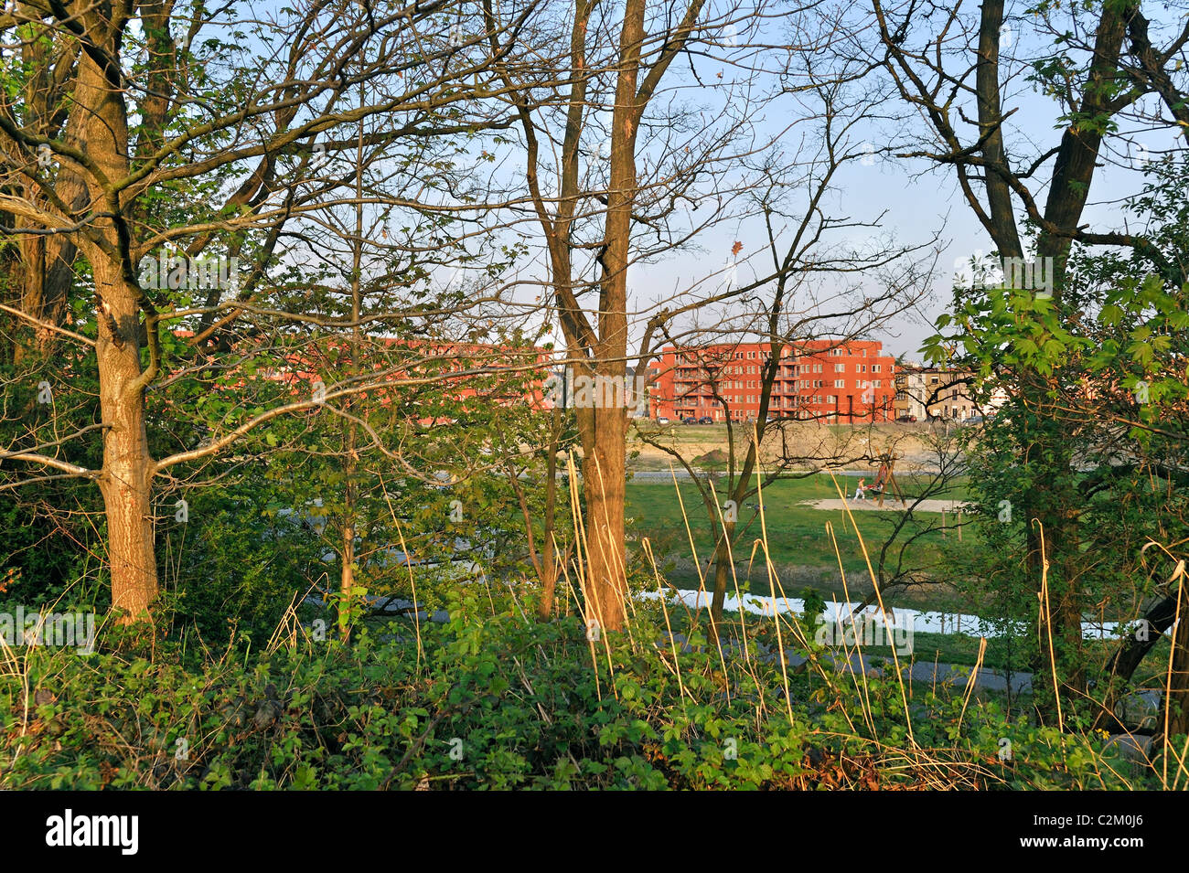 Neubaugebiet gesehen durch Bäume vom Naturschutzgebiet, Gent, Belgien Stockfoto