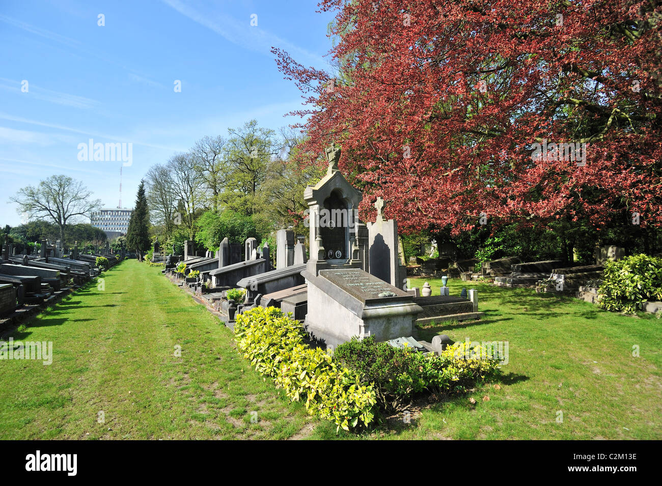 Natur am alten Friedhof der Stadt Westerbegraafplaats im Frühjahr, Gent, Belgien Stockfoto