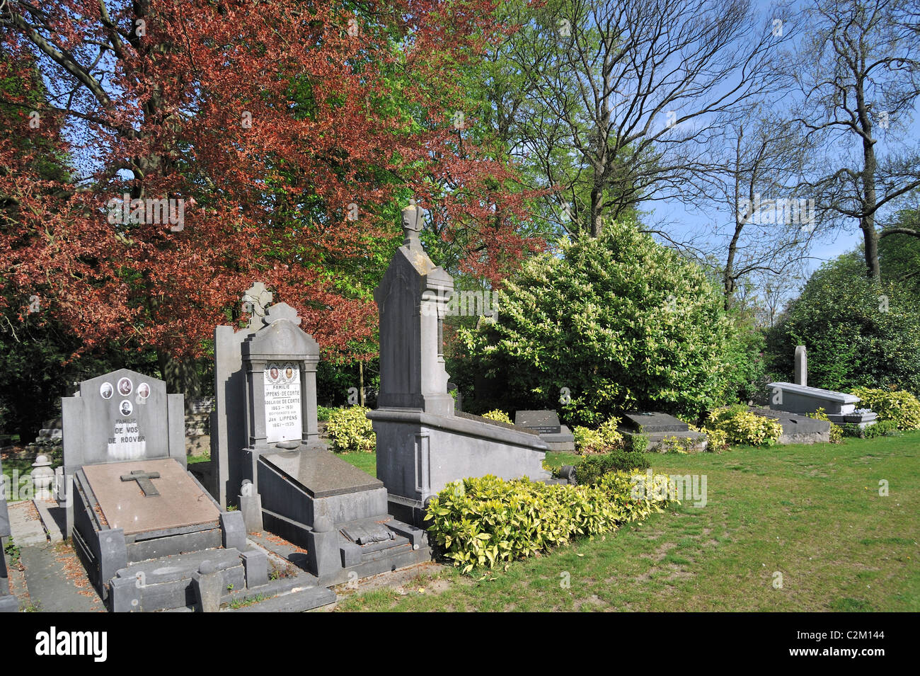 Natur am alten Friedhof der Stadt Westerbegraafplaats im Frühjahr, Gent, Belgien Stockfoto