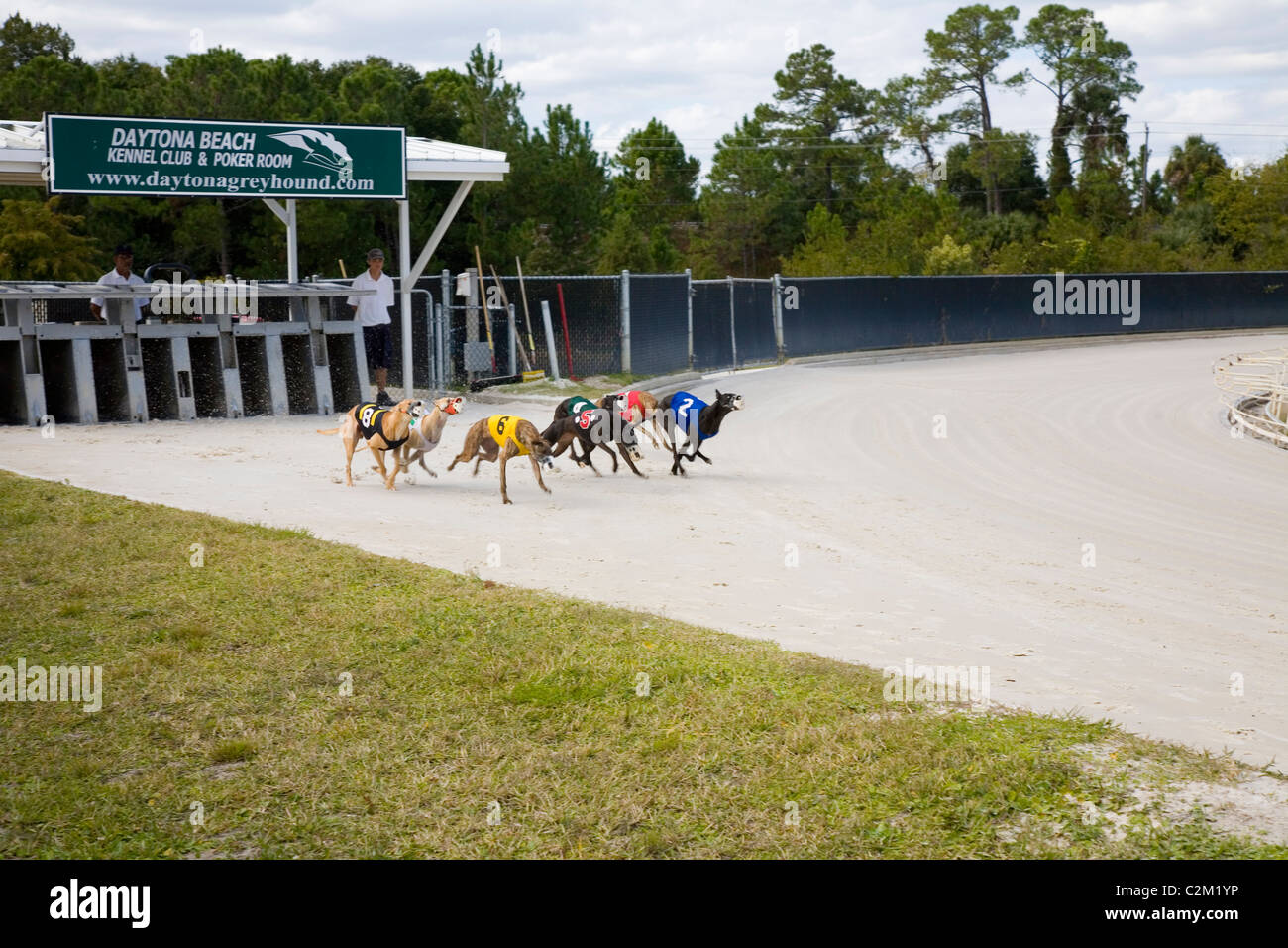 Daytona Beach Kennel Club bietet Windhundrennen Action und ein Poker-Raum, alle in einer luxuriösen Umgebung in Daytona Beach, FL Stockfoto