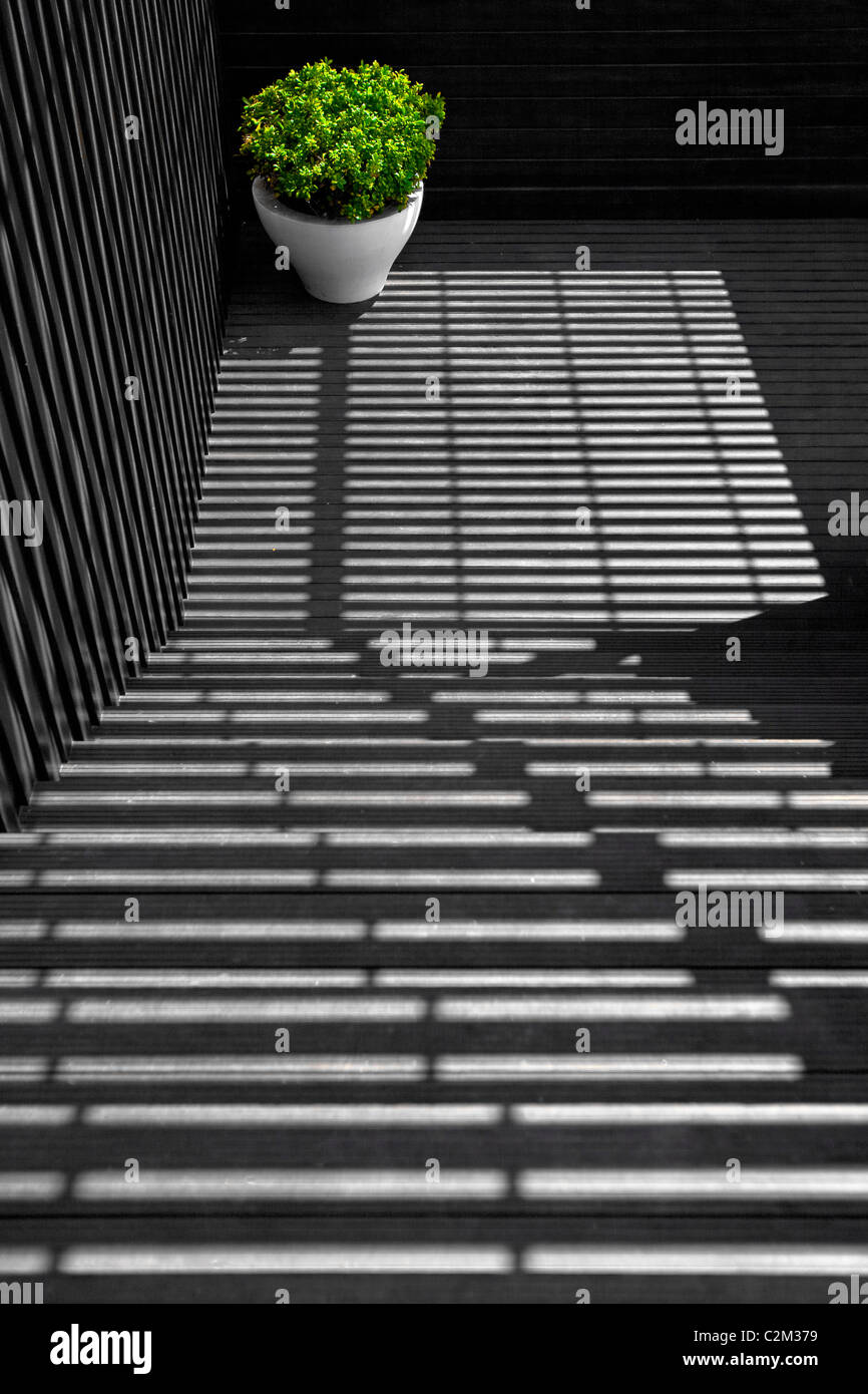 Fotografie von einer Treppe und Topf. Porto, Portugal. Stockfoto