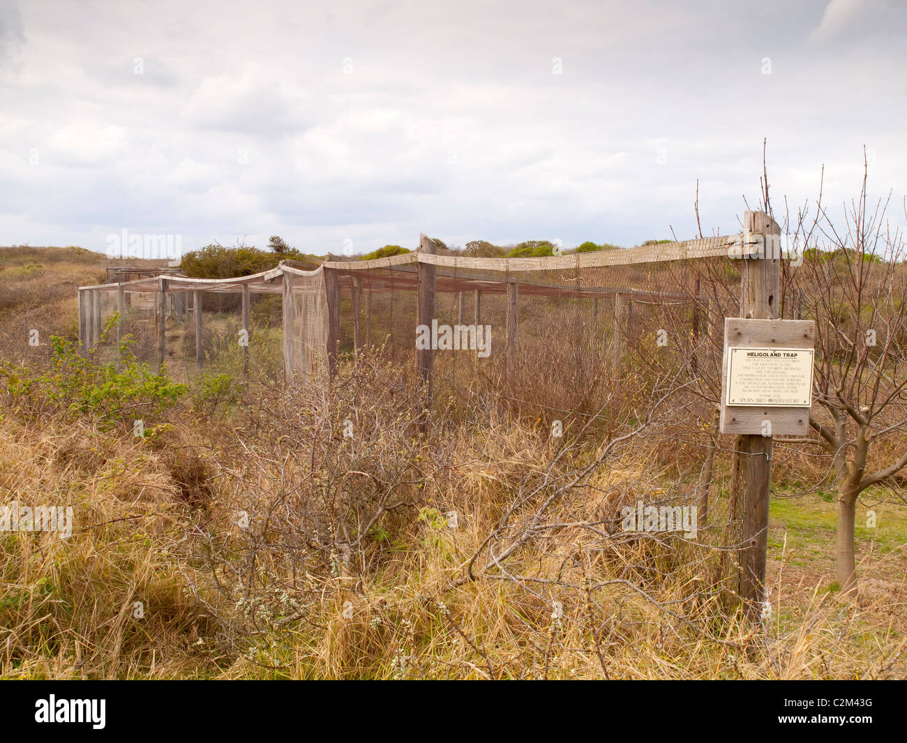 Helgoland Falle für den Fang von Zugvögeln für Studie am Punkt verschmähen Humberside verwendet Stockfoto