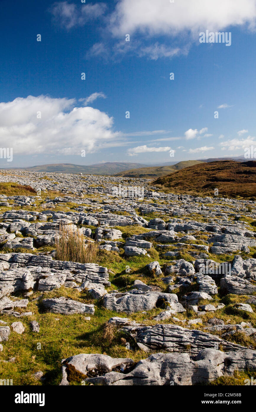Kalkstein Pflaster auf Keelogyboy Berg, County Leitrim, Irland. Stockfoto