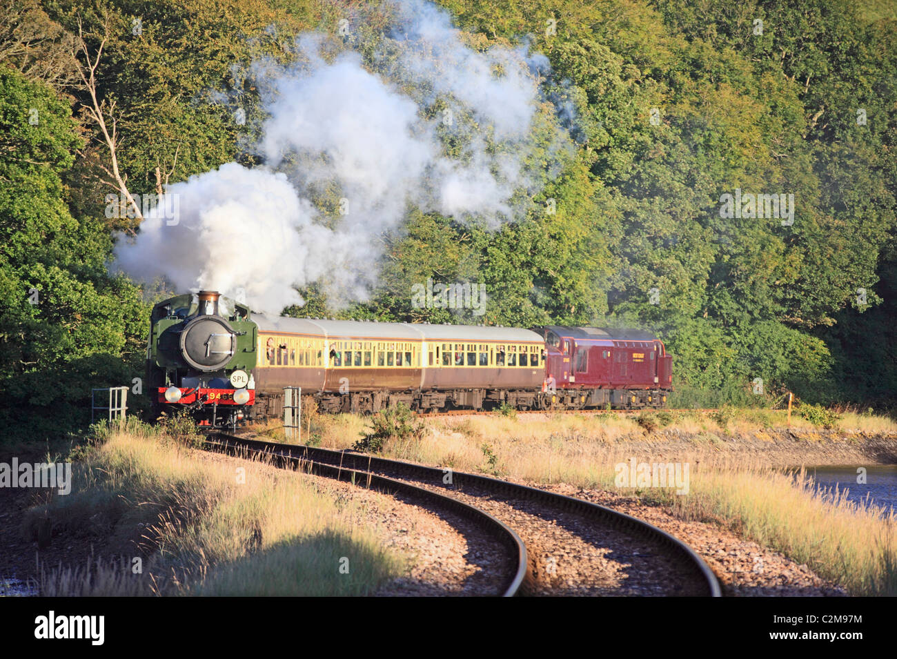 Ein Dampfzug auf Looe Valley-Nebenbahn in Cornwall Stockfoto