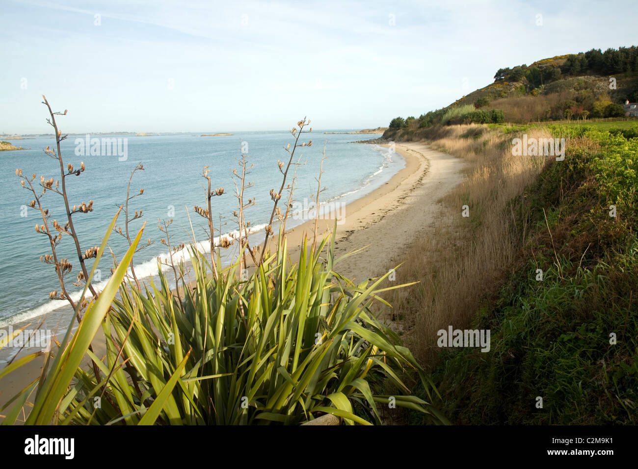 Sandy Bären Strand Herm Island Kanalinseln Stockfoto