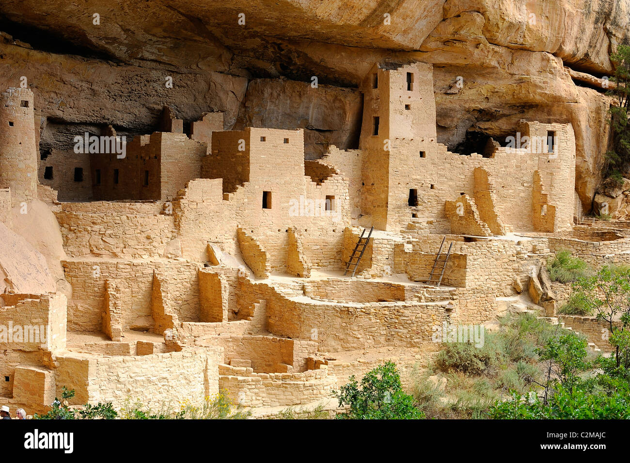 Cliff Palace, Klippe Wohnung in Mesa Verde Nationalpark Stockfoto