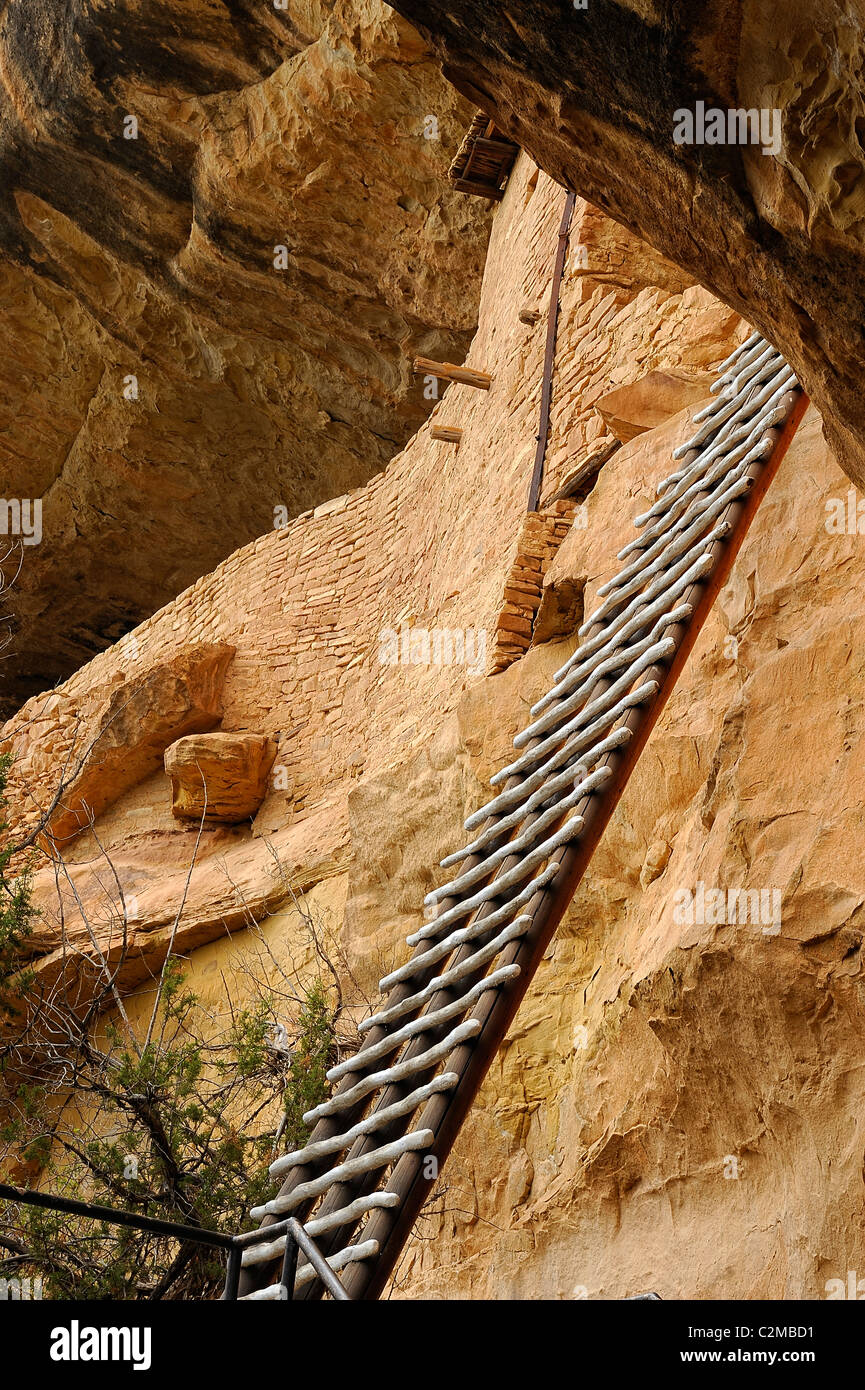 Holz Leiter verwendet, um die Wohnung des Balcony House, Klippe Wohnung in Mesa Verde Nationalpark Klettern Stockfoto
