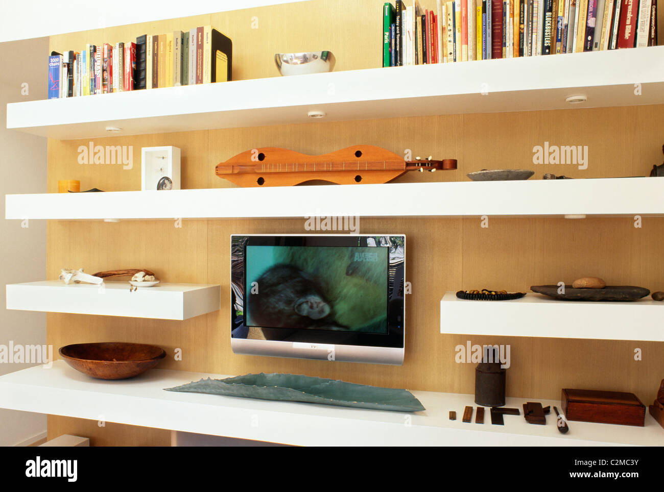 David Ritch House, Venice Beach, Kalifornien. Stockfoto