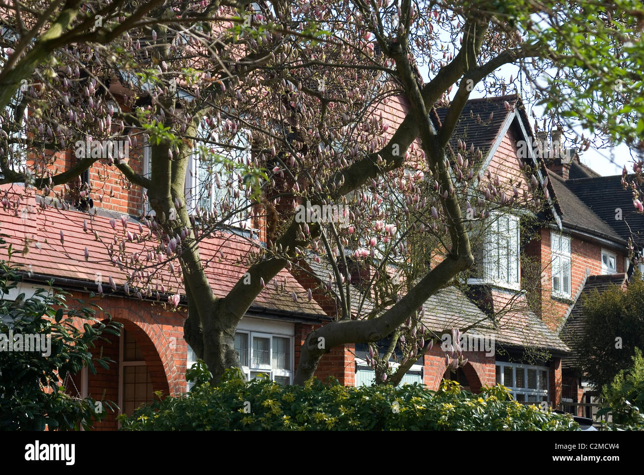 Häuserzeile, Grove Park in der Nähe von Chiswick, London W4 Stockfoto