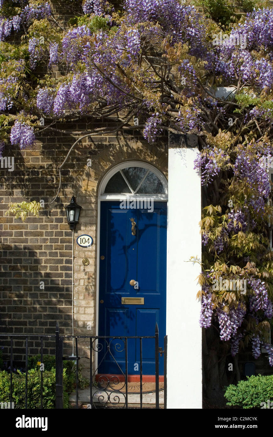 Glyzinien Kew Green, Kew, Greater London Stockfoto