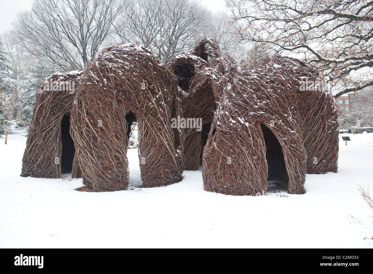 Gewebte Holzskulptur im Winter im Brooklyn Botanic Garden Stockfoto