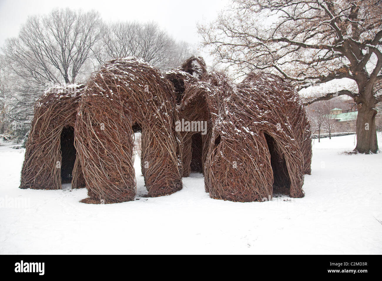 Gewebte Holzskulptur im Winter im Brooklyn Botanic Garden Stockfoto