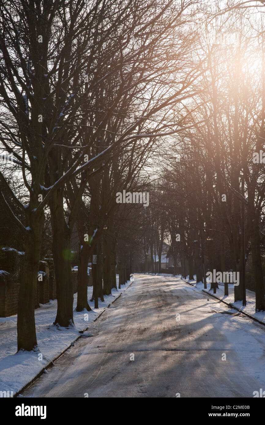 Vorort Straße im späten Nachmittag Midwinter, Nottingham. Stockfoto