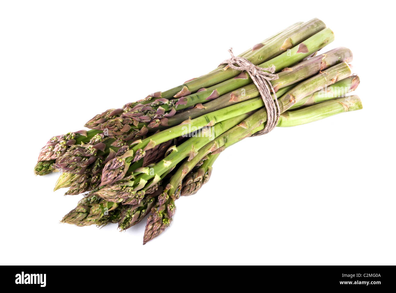 eine Reihe von grünem Spargel vor weißem Hintergrund Stockfoto