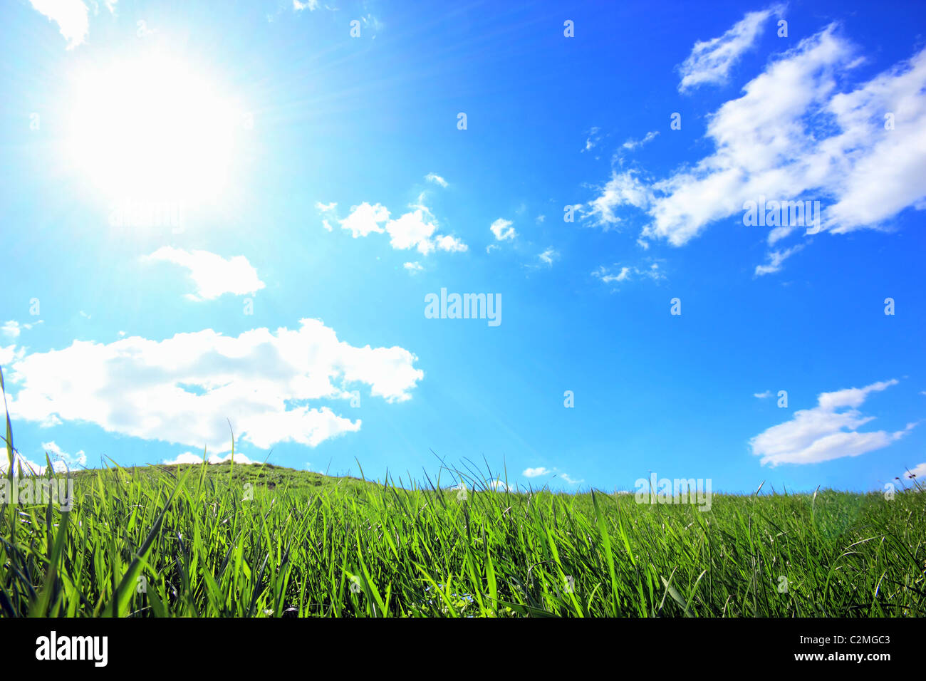 Grüne Grasberge unter Mittagssonne im blauen Himmel. Stockfoto