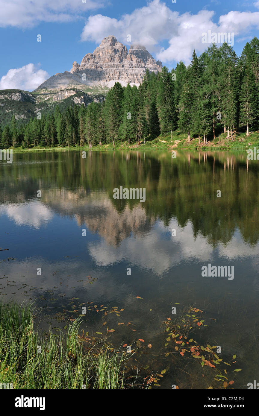 Reflexionen von Pinien und Berggipfel in den See Lago d'Antorno in der Nähe von Misurina in den Dolomiten, Italien Stockfoto