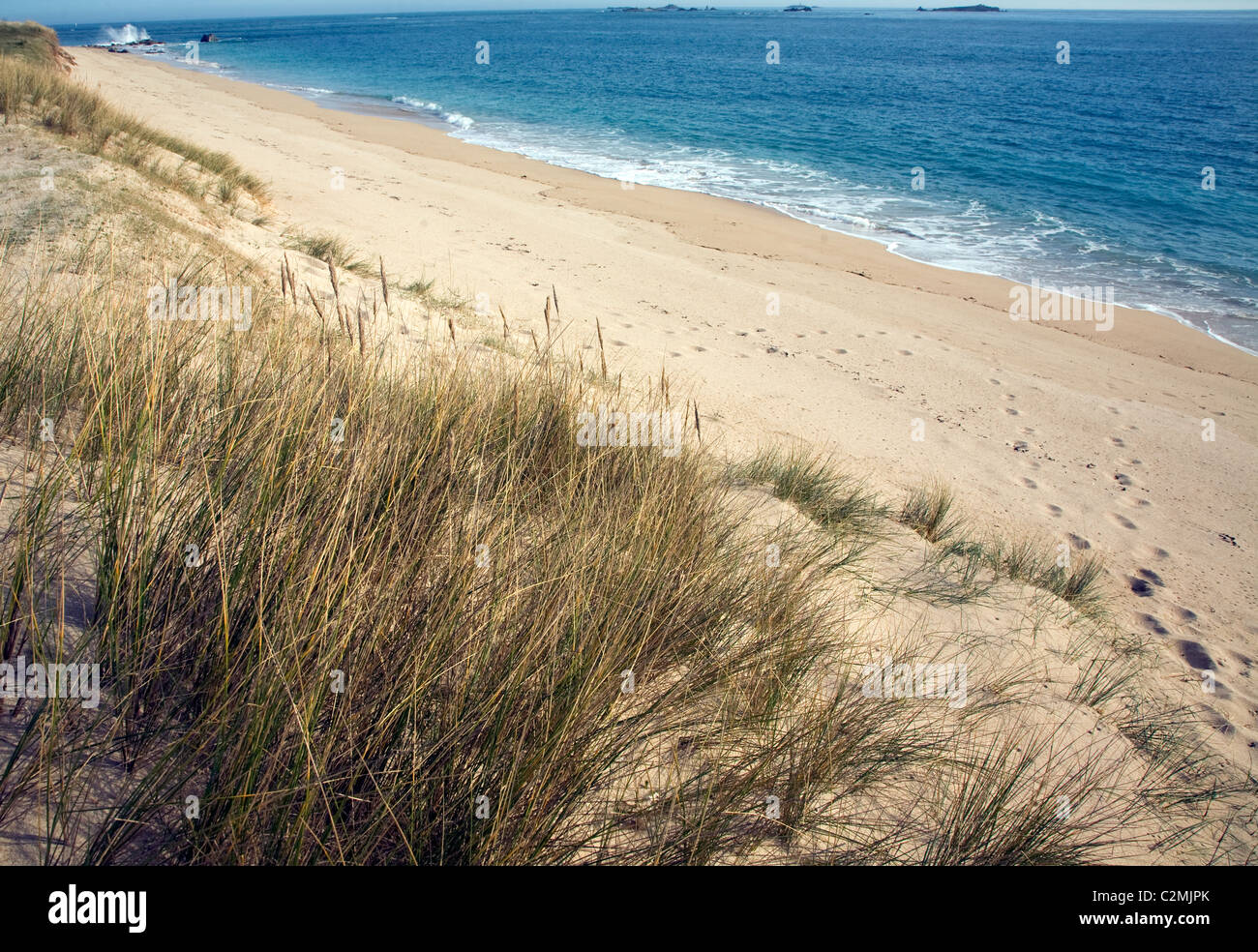 Shell beach Insel Herm Kanalinseln Stockfoto