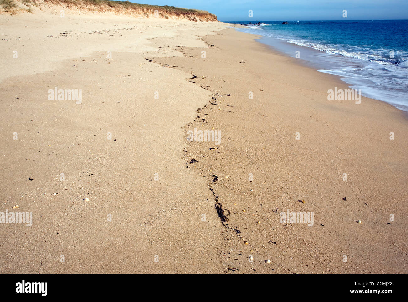 Shell beach Insel Herm Kanalinseln Stockfoto
