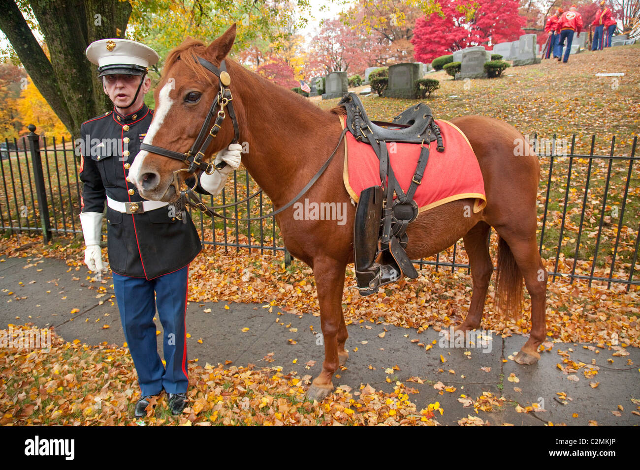 Marinekorps militärische Beerdigung Ehrengarde Stockfoto