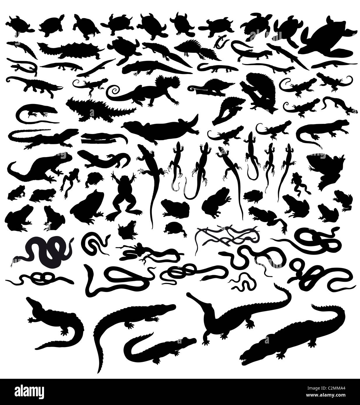 Große Sammlung von Vektor Reptilien isoliert auf weiss Stockfoto