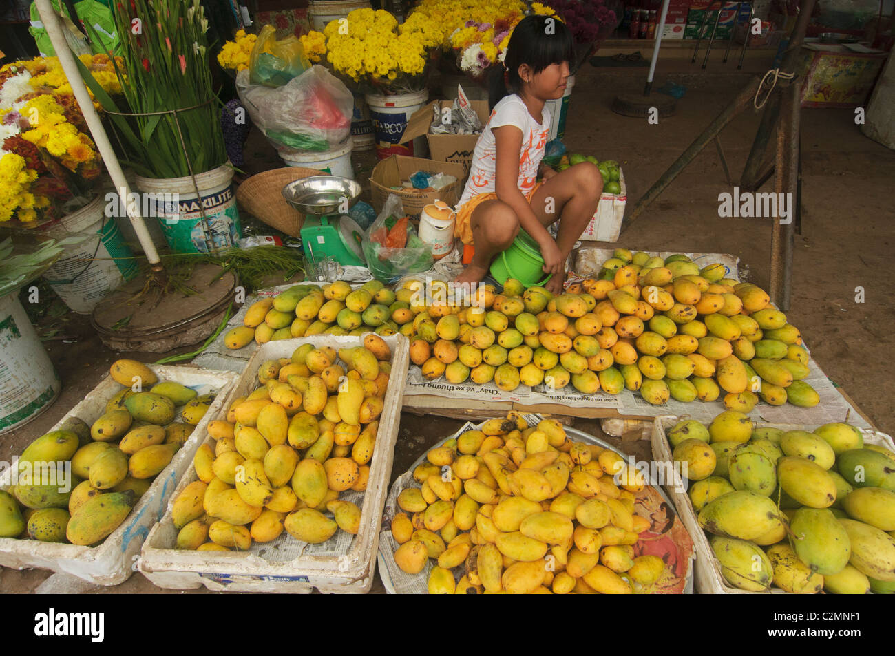 Mangos auf dem Markt auf der Insel Phu Quoc in Vietnam Stockfoto