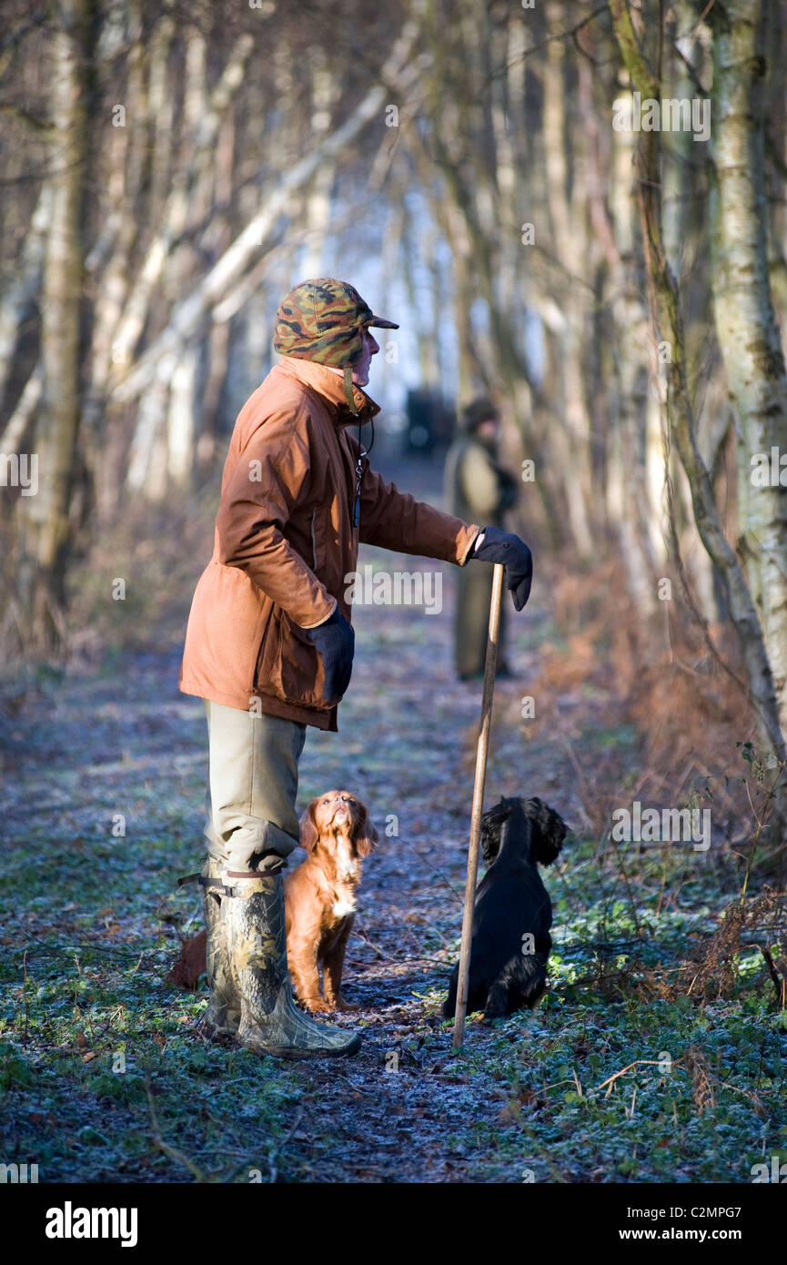 Mann mit Hunden auf angetriebenen schießen Stockfoto