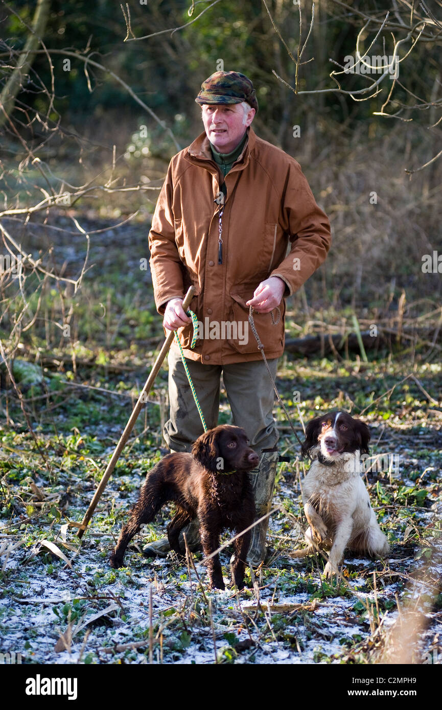 Mann mit Hunden auf angetriebenen schießen Stockfoto