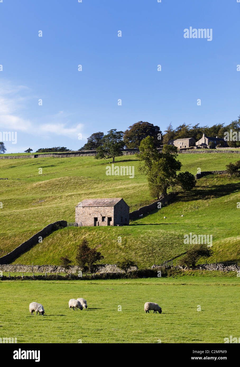 Yorkshire Dales National Park - Scheune in Swaledale, North Yorkshire, England, Großbritannien Stockfoto