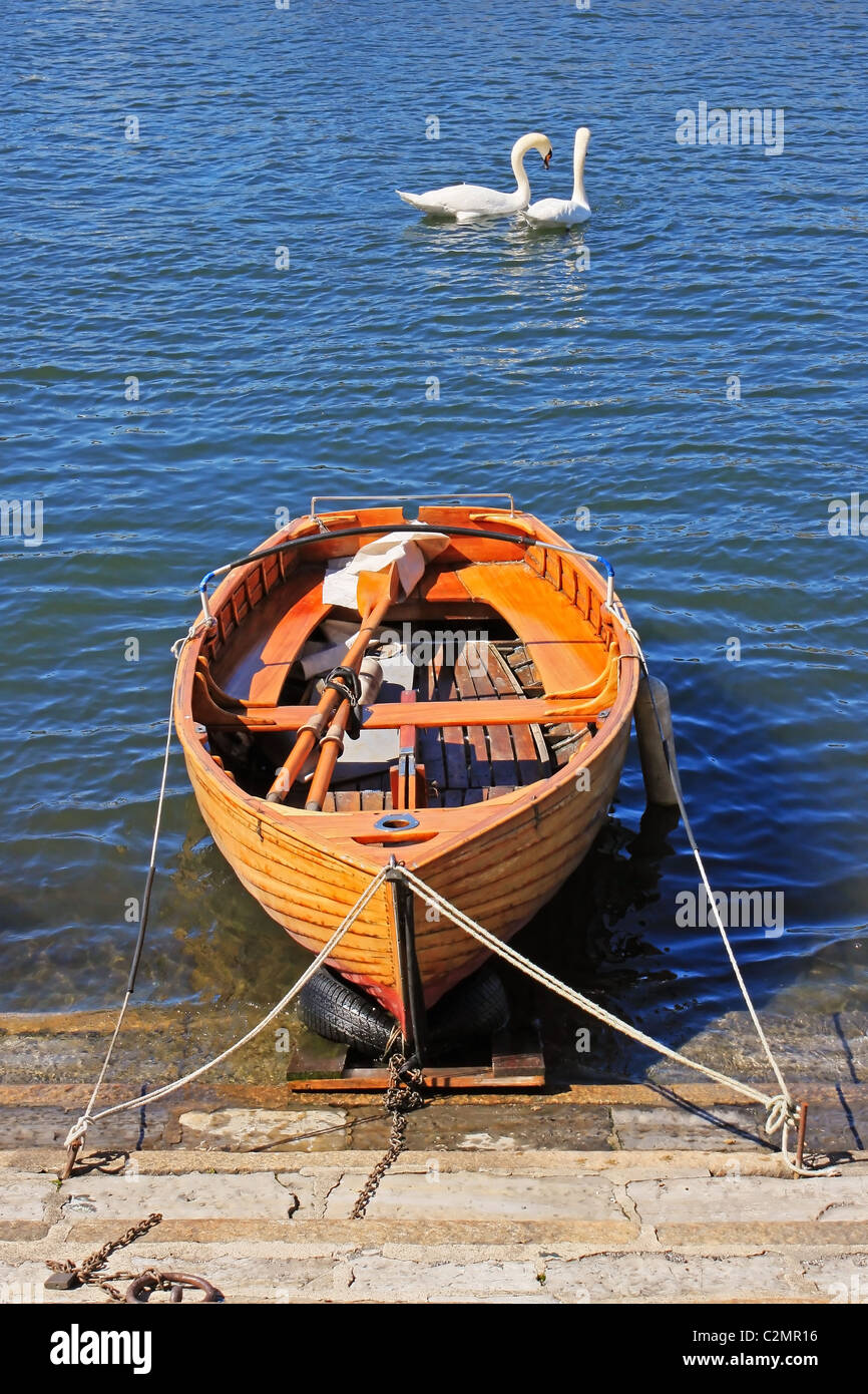 Das Boot und die Schwäne Stockfoto