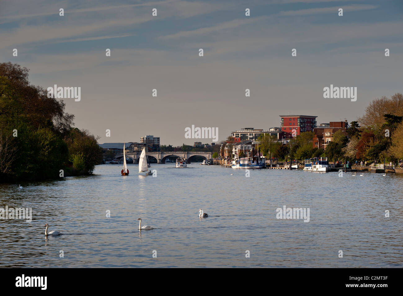 Kingston upon Thames, Royal Borough of Kingston upon Thames, Großbritannien Stockfoto