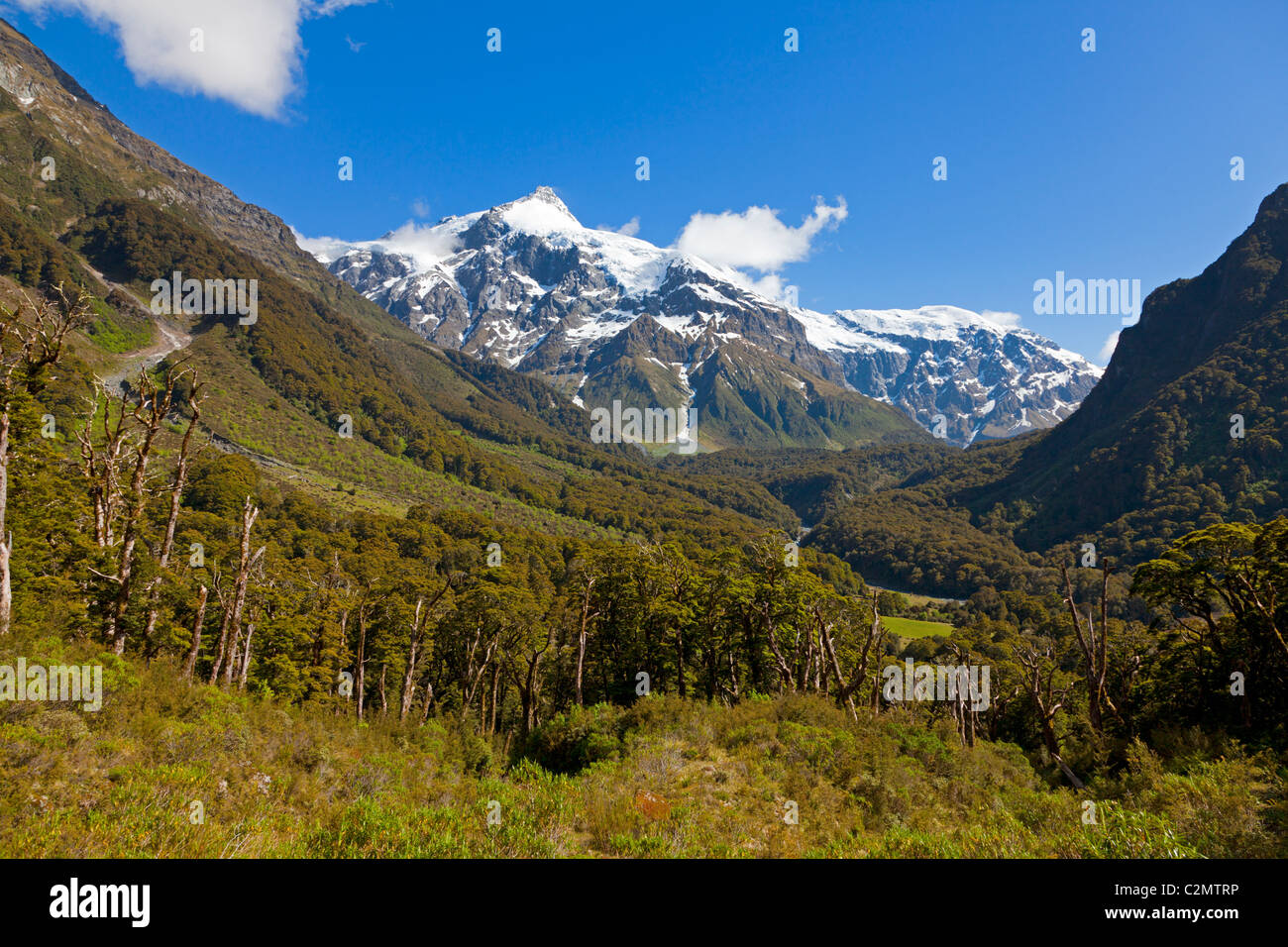 Tal in Neuseeland Stockfoto