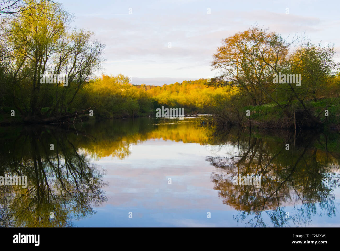 Das erste, was an einem Frühlingsmorgen und die umliegende Landschaft, die Reflexion über den River Clyde in Barone Haugh Nature Reserve. Stockfoto