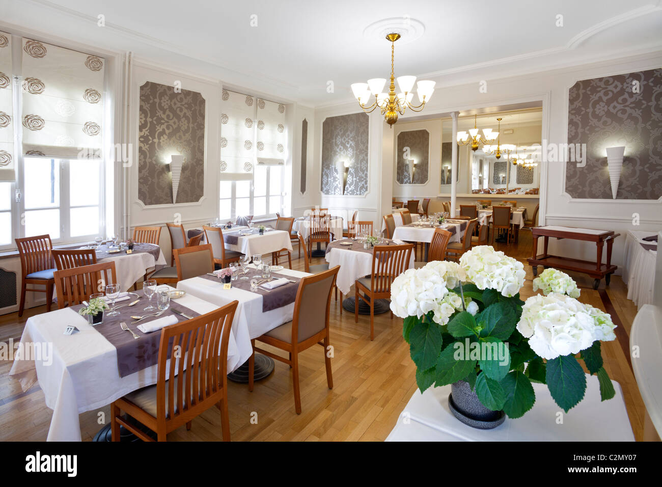 Einen Topf mit weißen Hortensien in einem Restaurant-Speisesaal (Frankreich). Potée d'hortensias Blancs Dans Une Salle de Restaurant (Frankreich). Stockfoto