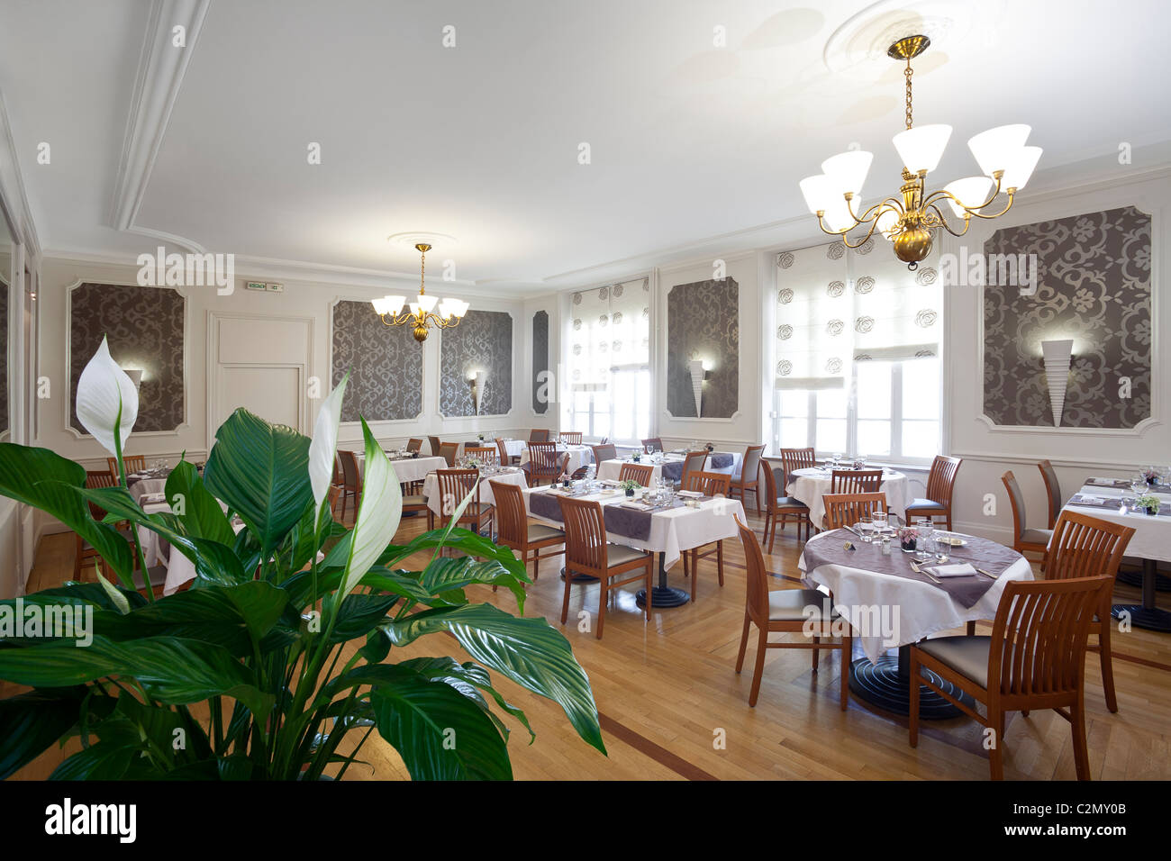 Einen Topf mit Peace Lily in einem Restaurant-Speisesaal (Frankreich). Potée de Spathiphyllum Cochlearispathum Dans Une Salle de Restaurant. Stockfoto