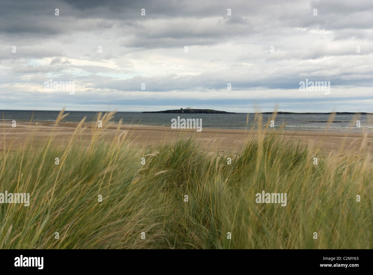 St. Aidans Dunes, Northumberland Küste, Großbritannien Stockfoto