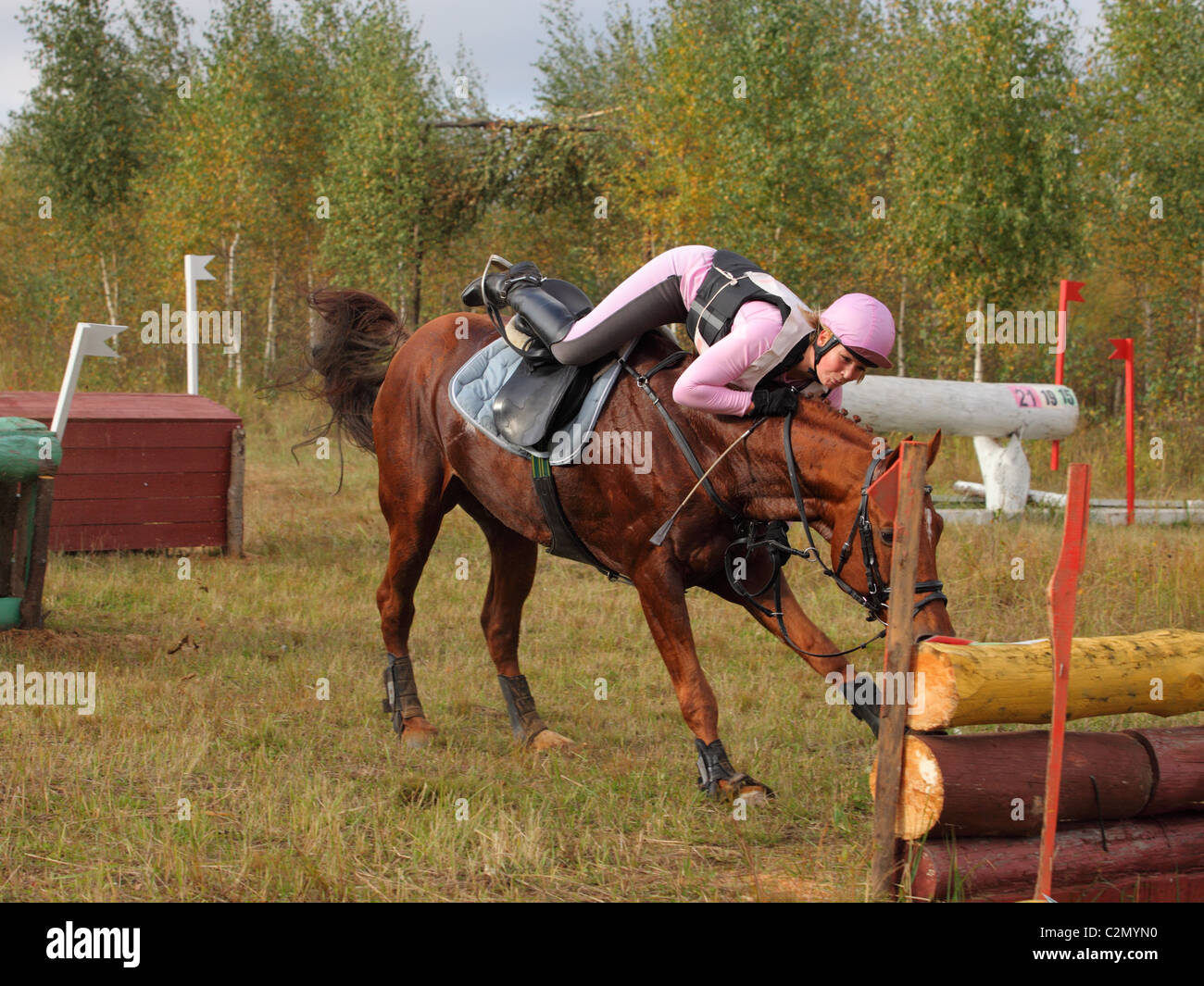 Horse Accident Stockfotos und bilder Kaufen Alamy