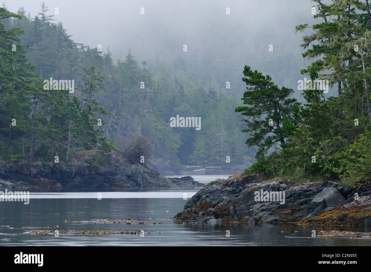 Inseln und Bäume im Nebel, Johnstone Strait, Vancouver Island, Kanada Stockfoto