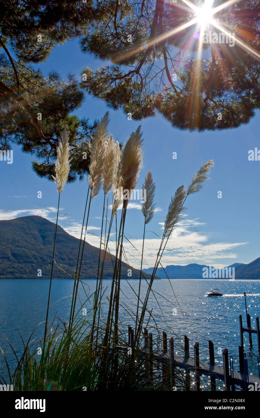Lago Maggiore Stockfoto