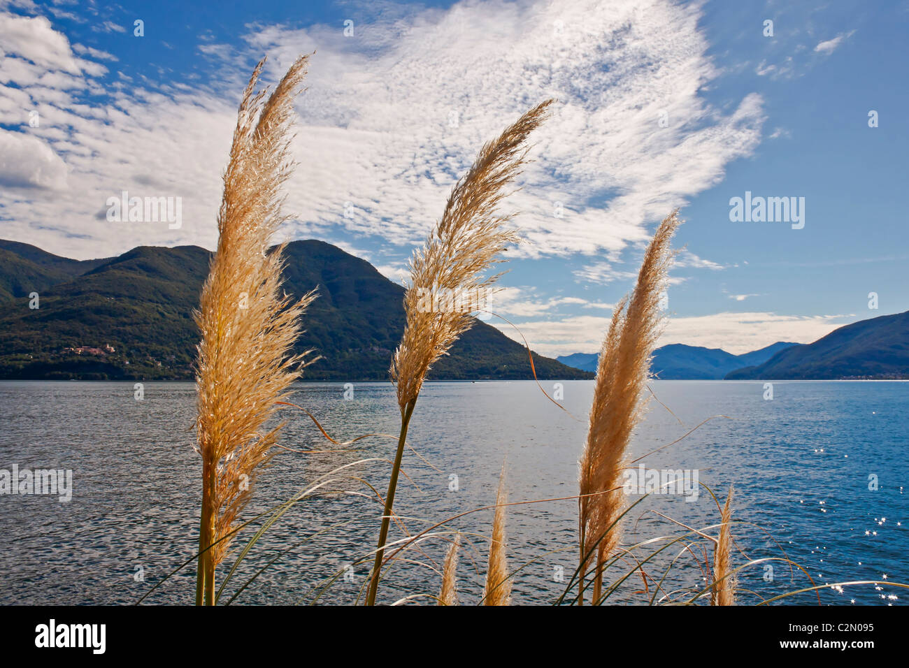 Lago Maggiore Stockfoto