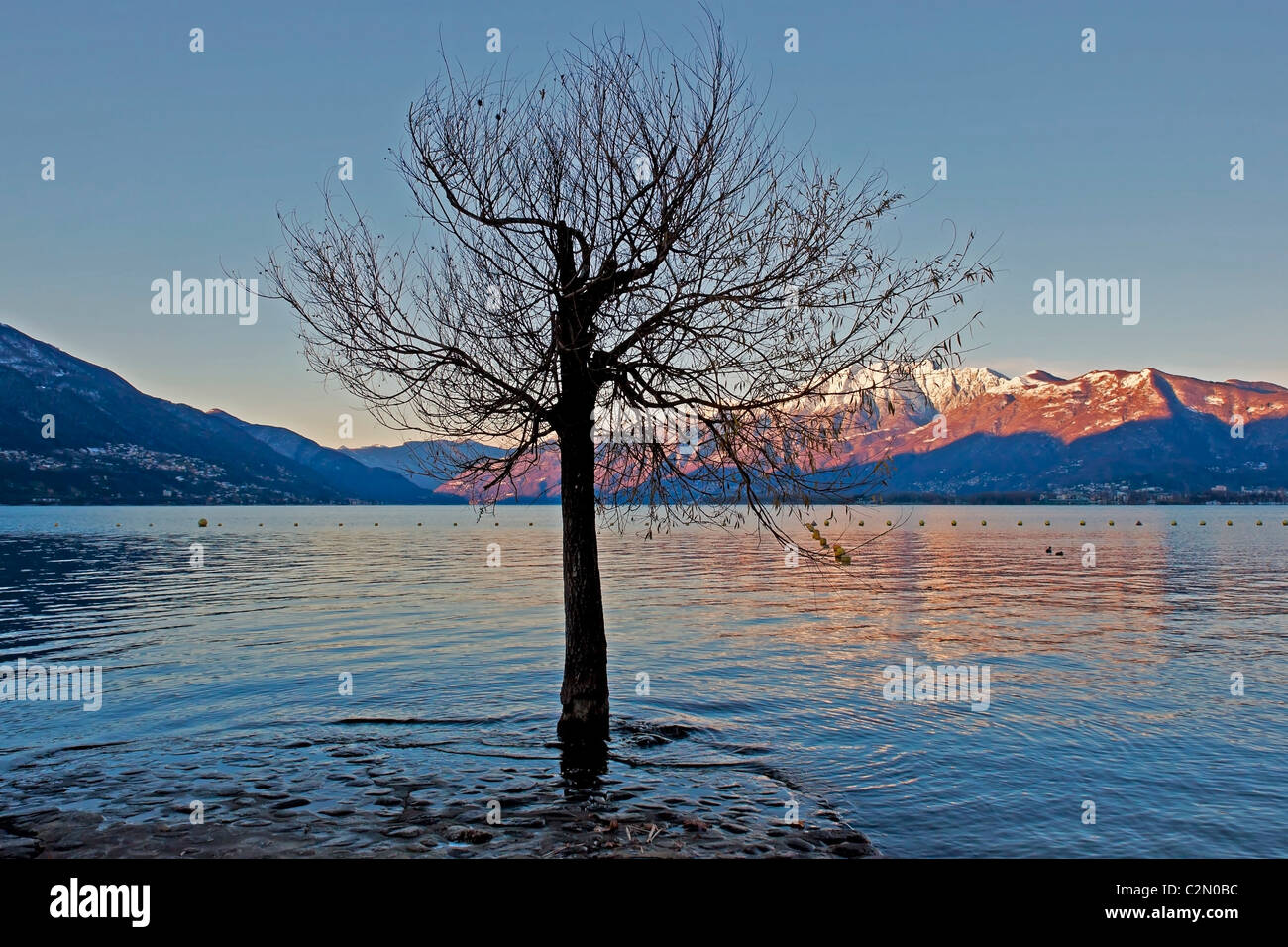 Lago Maggiore am Morgen Stockfoto