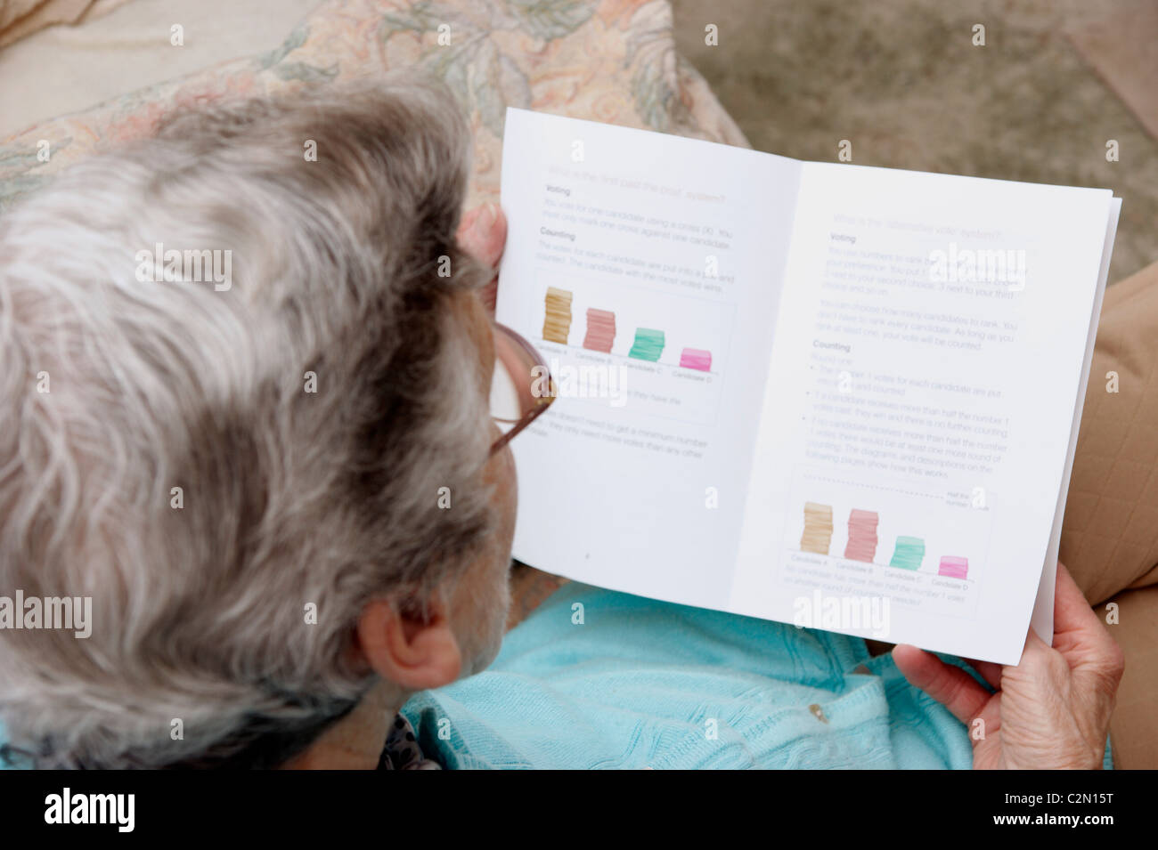 Informationsbroschüre über die Kommunalwahlen & Referendum zur Abstimmung für MPs unter Bezugnahme auf die alternative Stimme System av Stockfoto