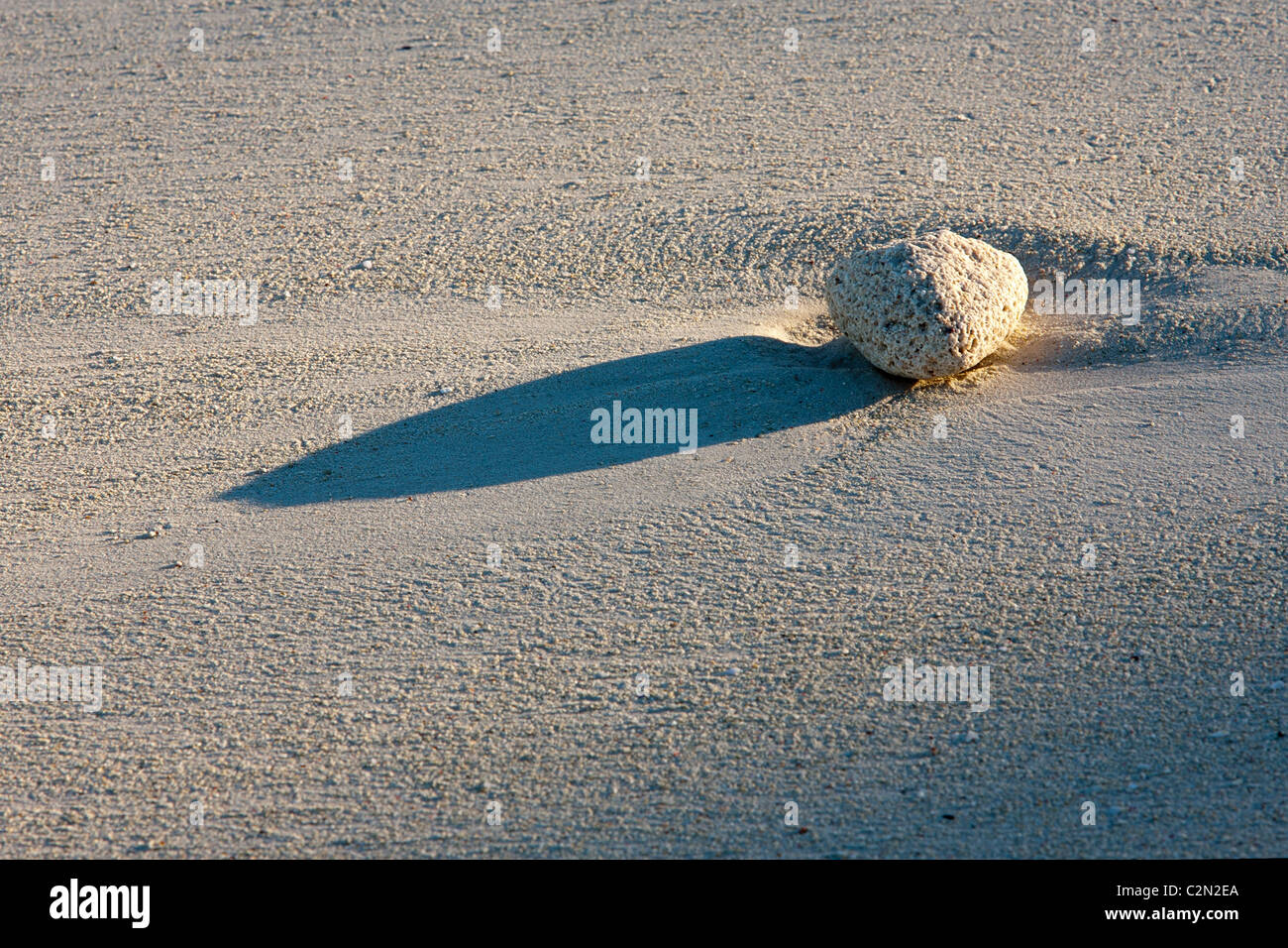 Weiße Peeble am Sandstrand Stockfoto