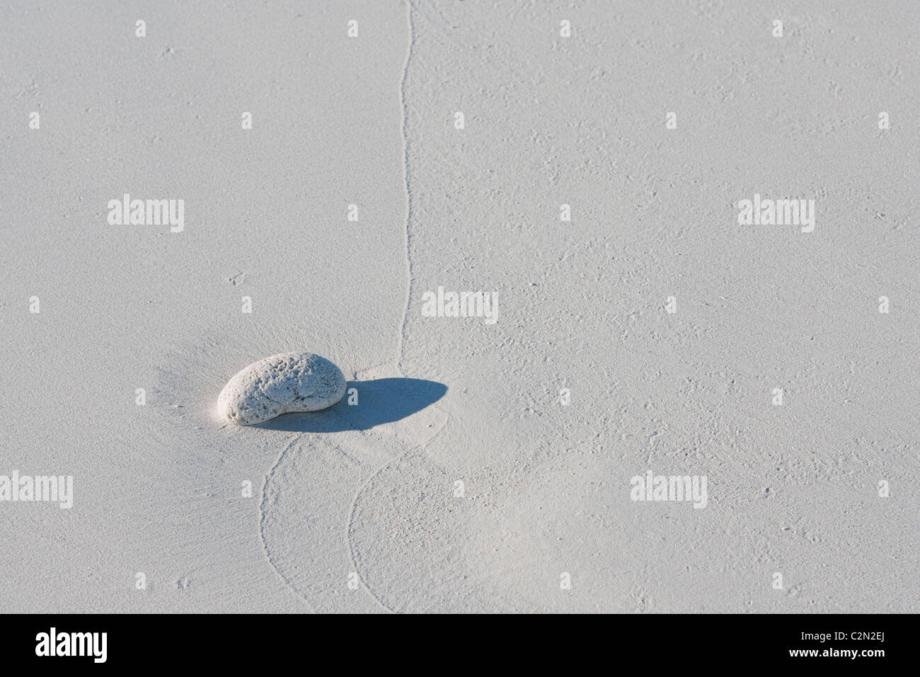 Weiße Peeble am Sandstrand Stockfoto