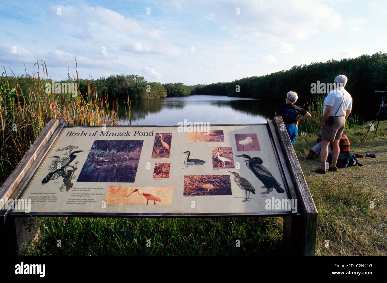 Dargestellte Zeichen identifizieren Sie Vögel und andere Wildtiere für Besucher zum Everglades National Park, eine riesige Feuchtgebiete-Wüste in Süd-Florida, USA. Stockfoto