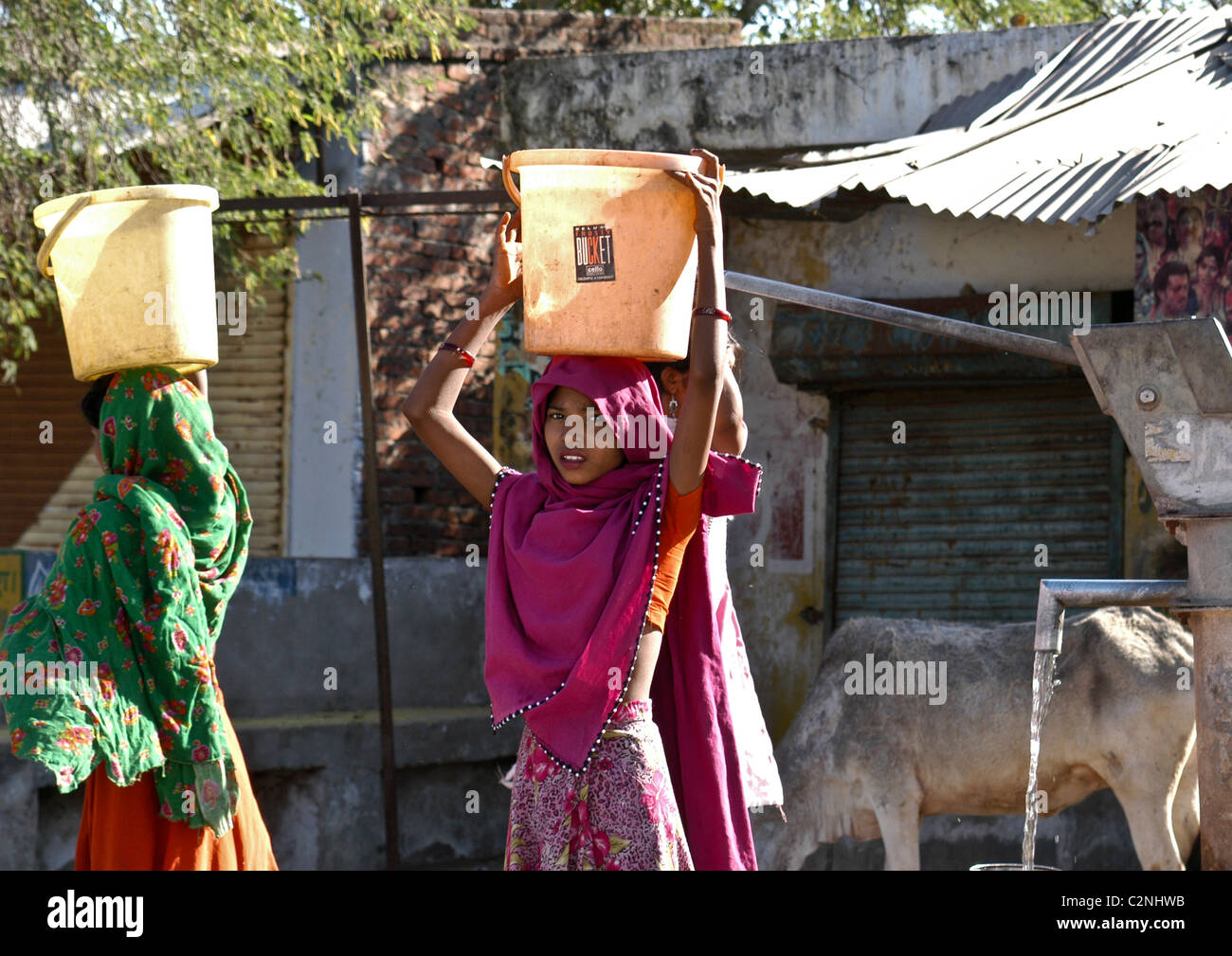 Hübsche junge Dorffrauen, die Eimer voll mit frischem Trinkwasser entnommen nun in ländlichen Dorf von Rajasthan in Indien. Stockfoto