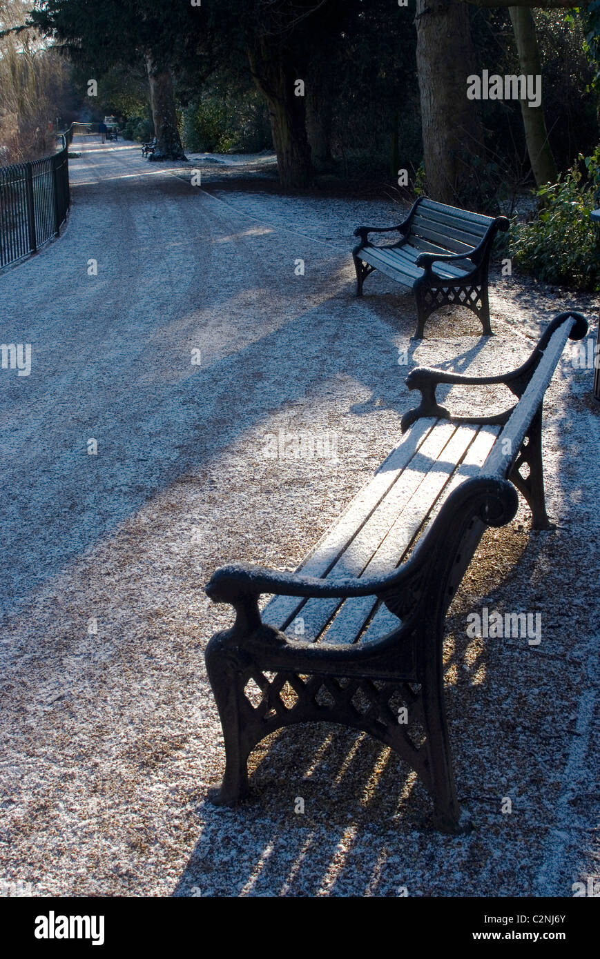 Parkbank unter einer leichten Abstauben von Schnee in Chiswick House und Gärten, Chiswick, London, W4, England Stockfoto