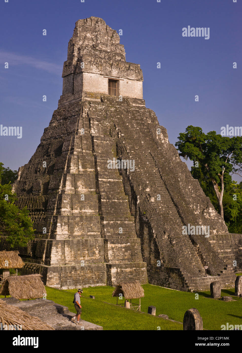 Tikal-Guatemala Stockfoto