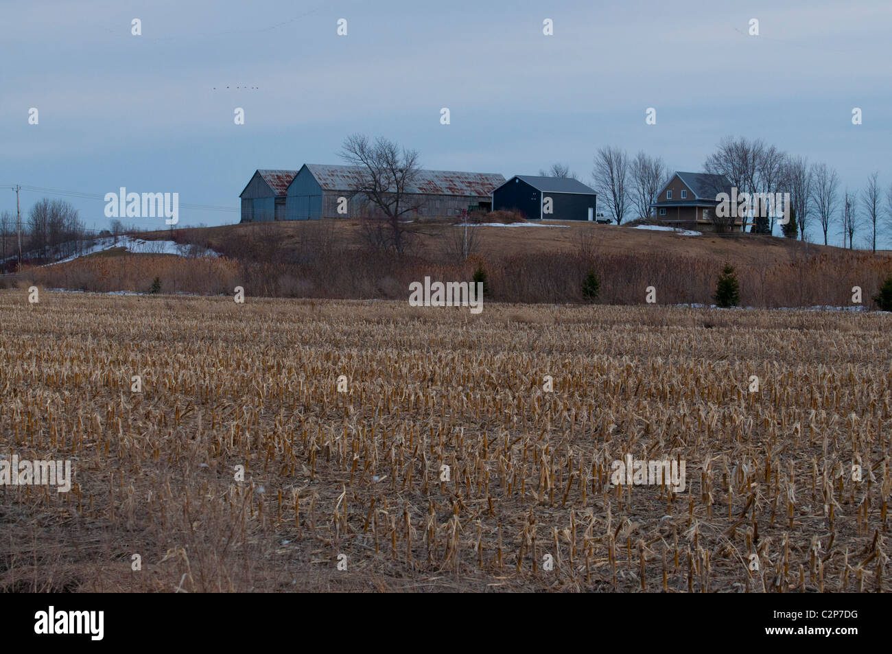 Ein Bauernhof im südlichen Quebec. im Frühjahr. Stockfoto