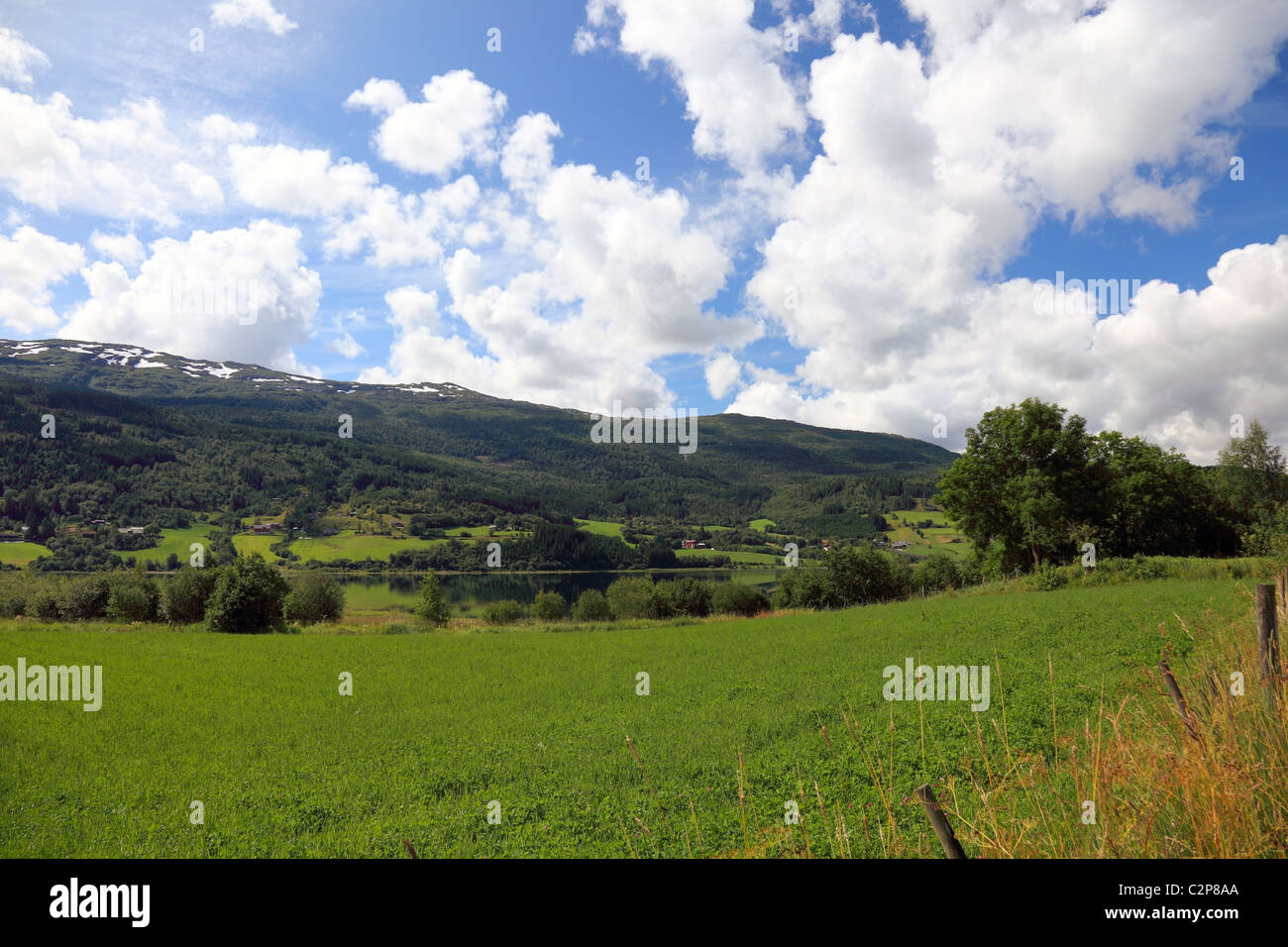 Norwegische Landschaft im Sommer, Skandinavien, Europa. Stockfoto