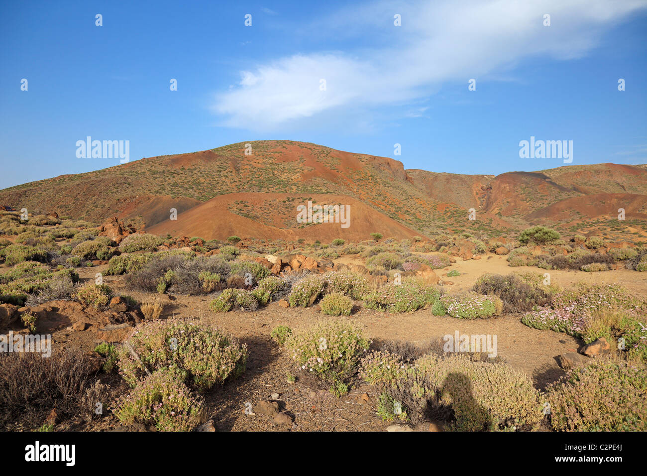 Vulkanische Wüste auf der Kanareninsel von Tenera. Blauer Himmel, trockene Sandwärme, felsige Lava. Landschaftlich schöner Meilenstein der Geologiebildung. Lunar Landscape Exploration. Stockfoto
